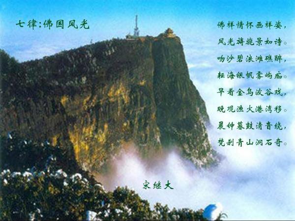 小兔子大冒险